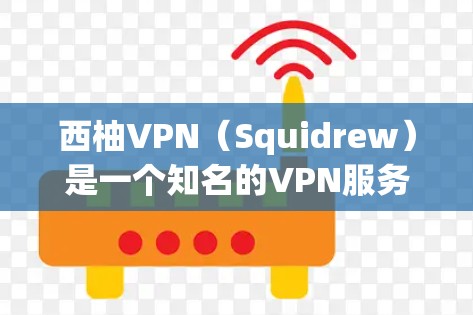 西柚VPN（Squidrew）是一个知名的VPN服务，提供多种VPN客户端和服务器选择。用户可以通过以下入口访问西柚VPN官网