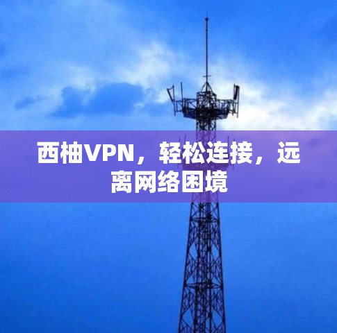 西柚VPN，轻松连接，远离网络困境