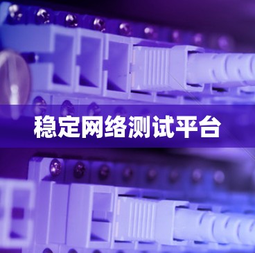 稳定网络测试平台
