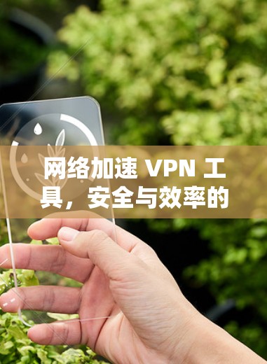 网络加速 VPN 工具，安全与效率的平衡
