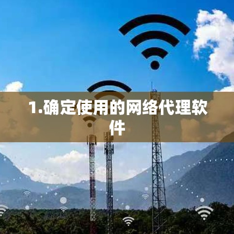 1.确定使用的网络代理软件