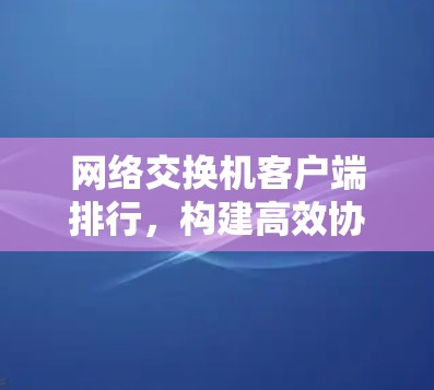 网络交换机客户端排行，构建高效协同机制
