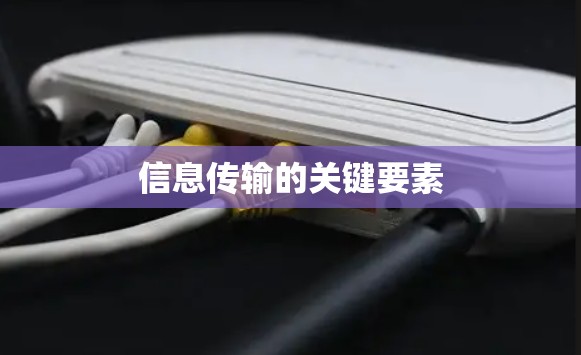 信息传输的关键要素