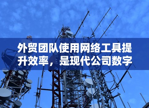 外贸团队使用网络工具提升效率，是现代公司数字化管理的重要手段。以下是一些具体的应用和工具建议