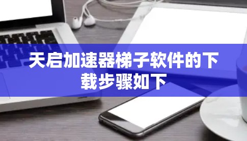 天启加速器梯子软件的下载步骤如下